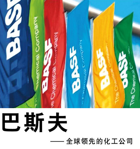  加强巴斯夫作为各行业解决方案供应商的地位